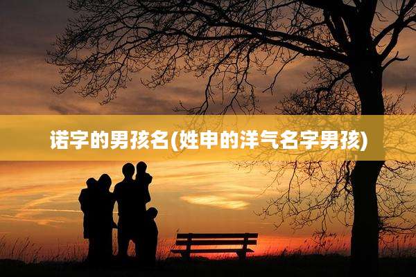 诺字的男孩名(姓申的洋气名字男孩)