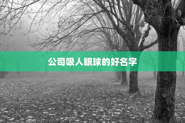 公司吸人眼球的好名字
