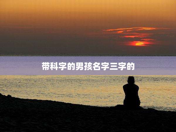 带科字的男孩名字三字的