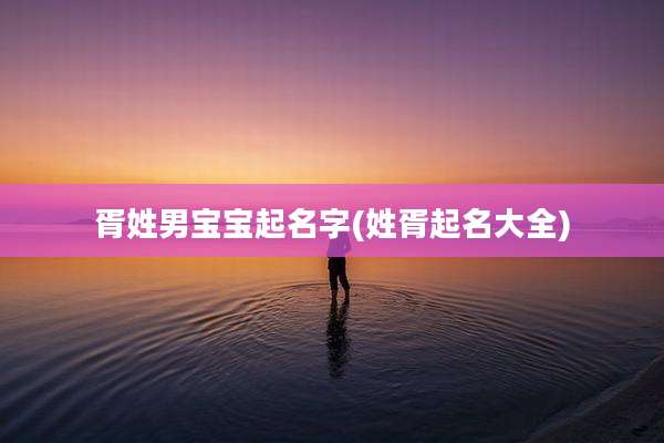 胥姓男宝宝起名字(姓胥起名大全)