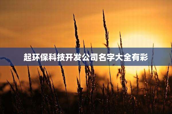 起环保科技开发公司名字大全有彩
