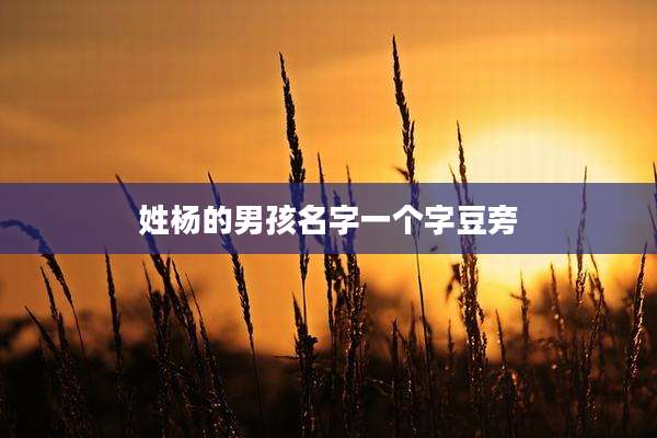 姓杨的男孩名字一个字豆旁