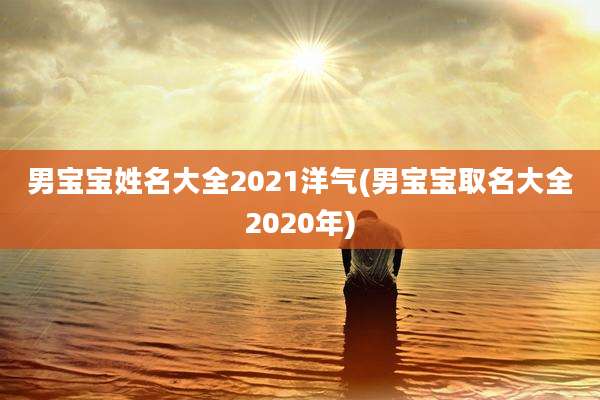男宝宝姓名大全2021洋气(男宝宝取名大全2020年)