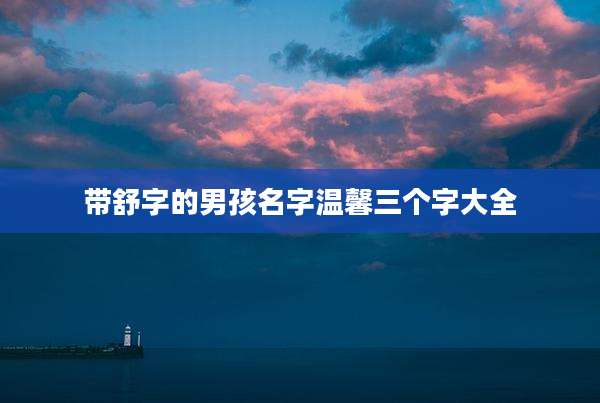 带舒字的男孩名字温馨三个字大全
