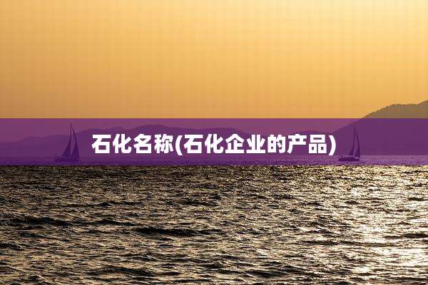 石化名称(石化企业的产品)