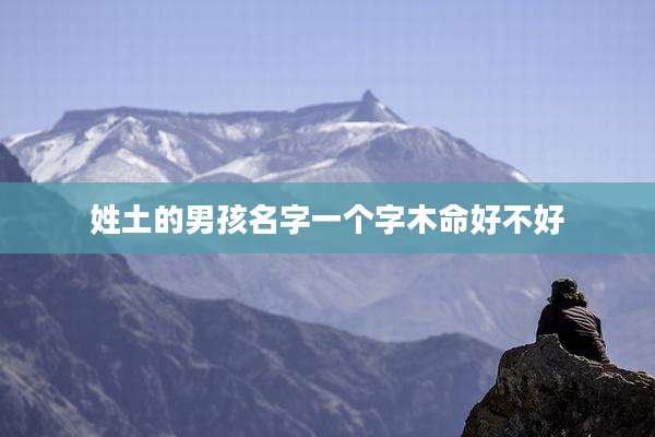 姓土的男孩名字一个字木命好不好