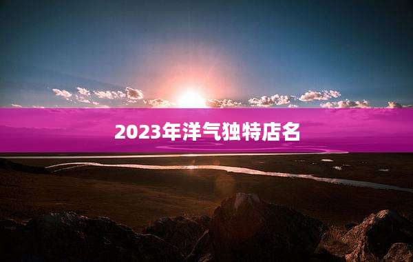 2023年洋气独特店名