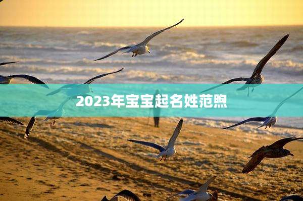 2023年宝宝起名姓范煦