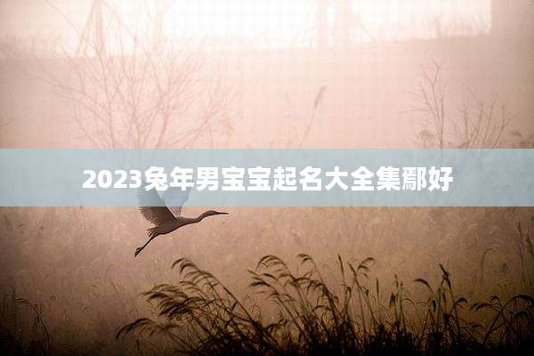 2023兔年男宝宝起名大全集鄢好