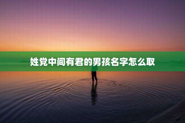 姓党中间有君的男孩名字怎么取
