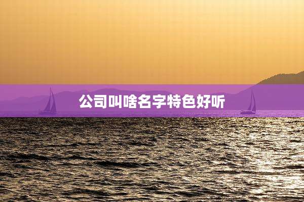 公司叫啥名字特色好听