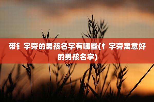 带钅字旁的男孩名字有哪些(忄字旁寓意好的男孩名字)