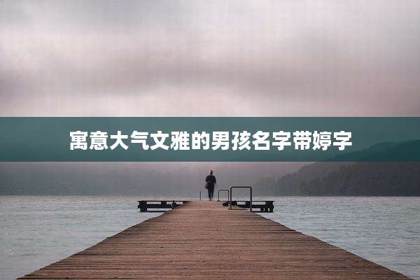 寓意大气文雅的男孩名字带婷字