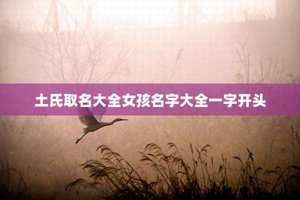 土氏取名大全女孩名字大全一字开头