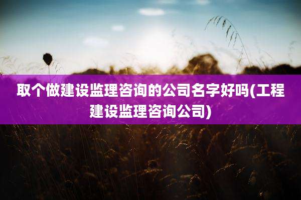 取个做建设监理咨询的公司名字好吗(工程建设监理咨询公司)