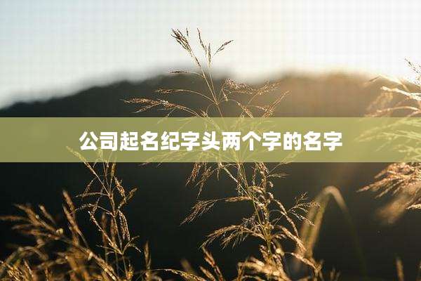 公司起名纪字头两个字的名字