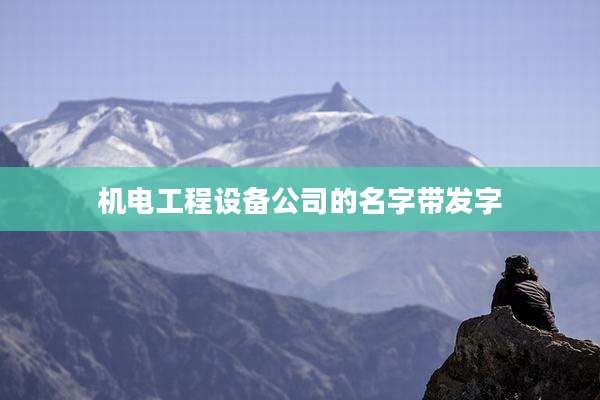 机电工程设备公司的名字带发字