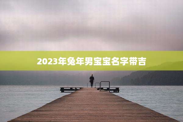 2023年兔年男宝宝名字带吉