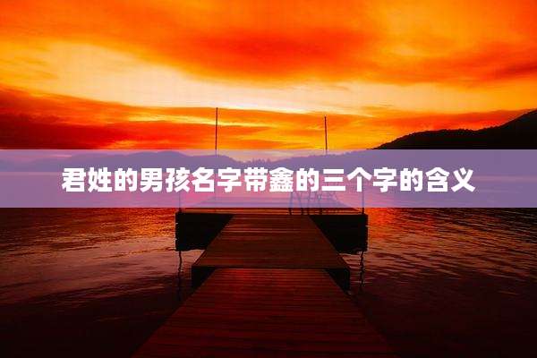 君姓的男孩名字带鑫的三个字的含义