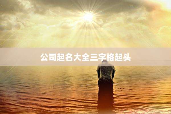 公司起名大全三字格起头