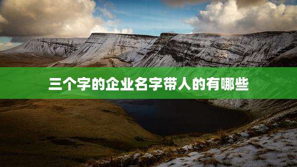 三个字的企业名字带人的有哪些