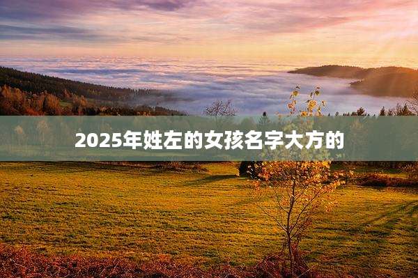 2025年姓左的女孩名字大方的