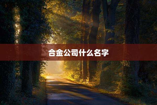 合金公司什么名字