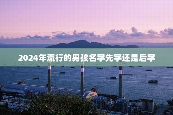 2024年流行的男孩名字先字还是后字