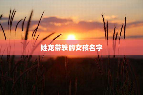 姓龙带轶的女孩名字