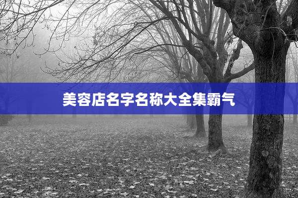 美容店名字名称大全集霸气