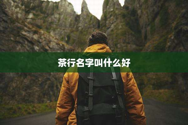 茶行名字叫什么好