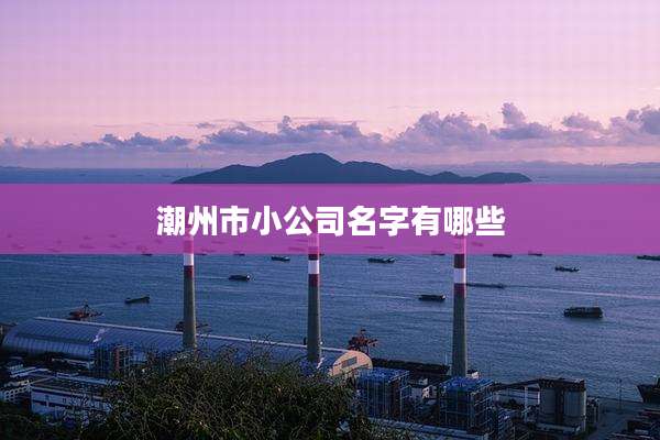潮州市小公司名字有哪些