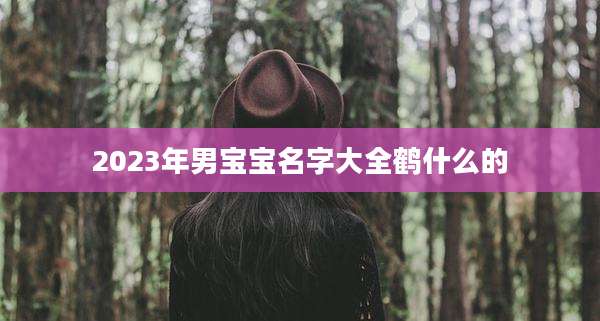 2023年男宝宝名字大全鹤什么的