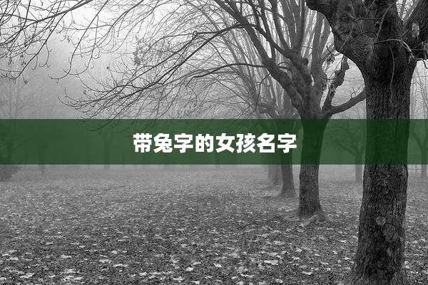 带兔字的女孩名字