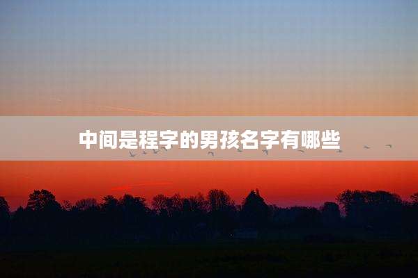 中间是程字的男孩名字有哪些
