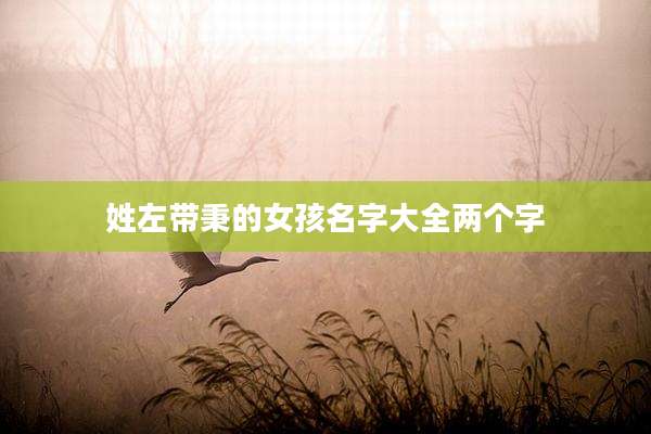 姓左带秉的女孩名字大全两个字