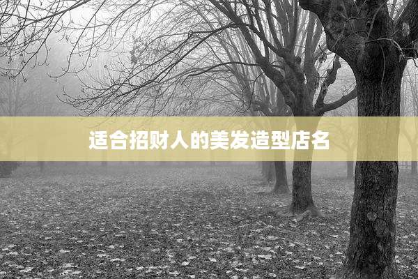 适合招财人的美发造型店名