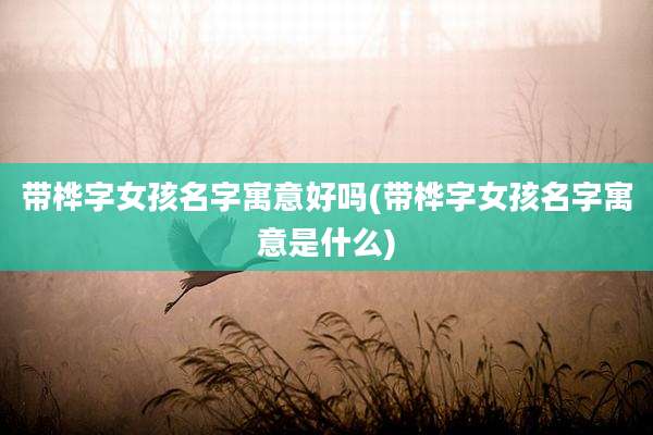 带桦字女孩名字寓意好吗(带桦字女孩名字寓意是什么)