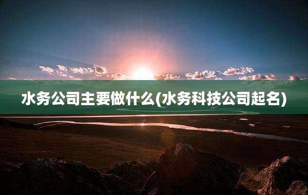 水务公司主要做什么(水务科技公司起名)