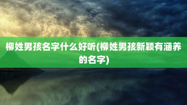 柳姓男孩名字什么好听(柳姓男孩新颖有涵养的名字)