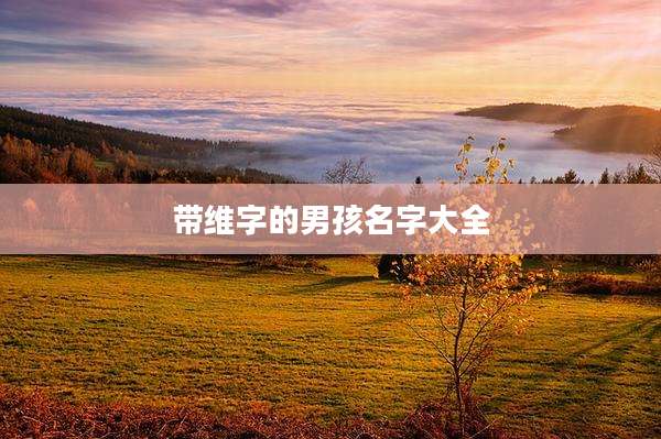 带维字的男孩名字大全