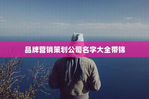 品牌营销策划公司名字大全带锦