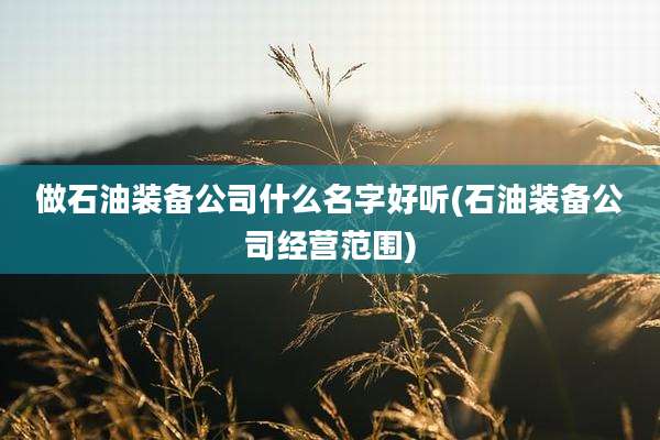 做石油装备公司什么名字好听(石油装备公司经营范围)
