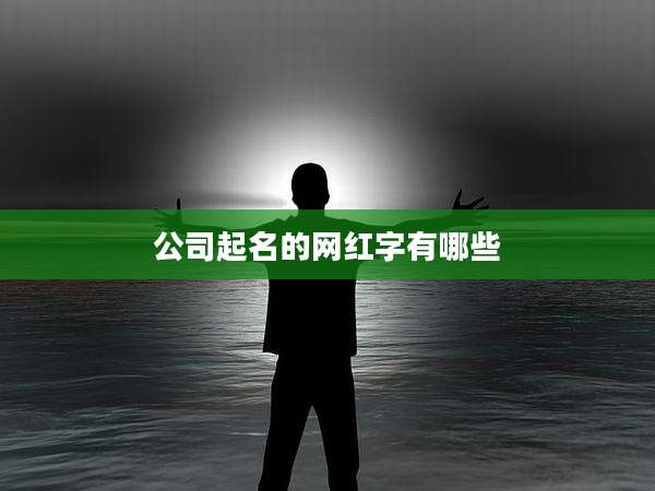 公司起名的网红字有哪些