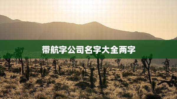 带航字公司名字大全两字