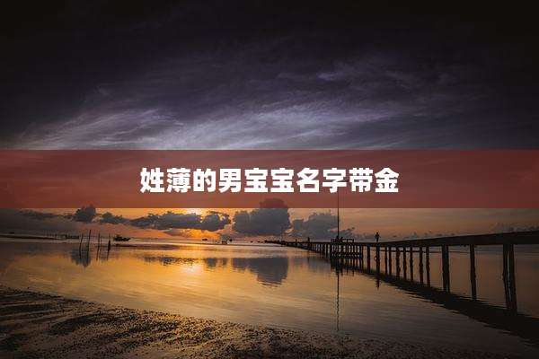 姓薄的男宝宝名字带金