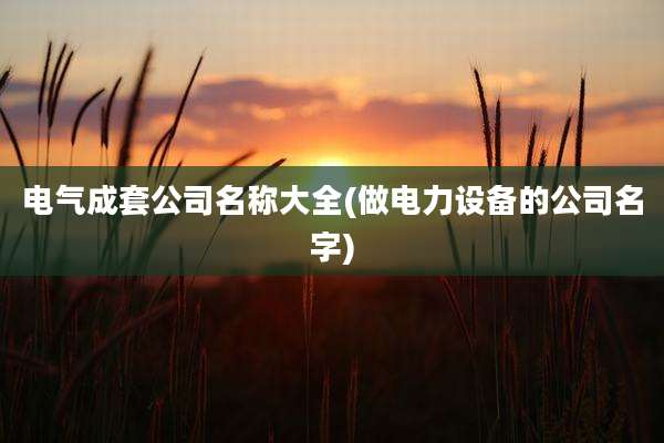 电气成套公司名称大全(做电力设备的公司名字)