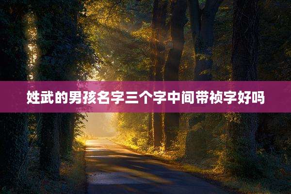 姓武的男孩名字三个字中间带祯字好吗