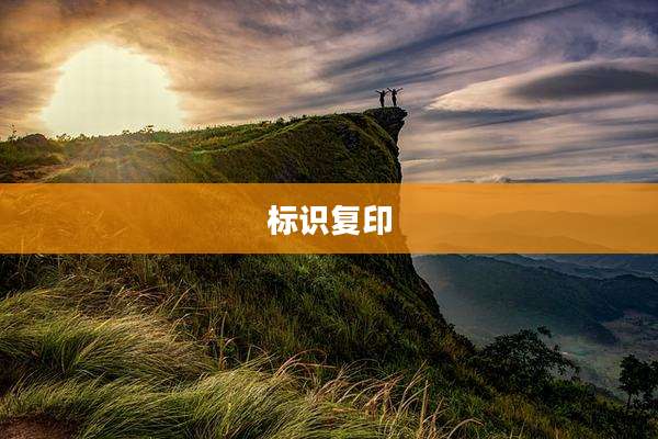 标识复印