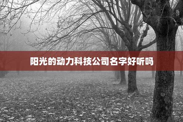 阳光的动力科技公司名字好听吗